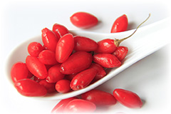 Goji Berry - Heist-op-den-Berg